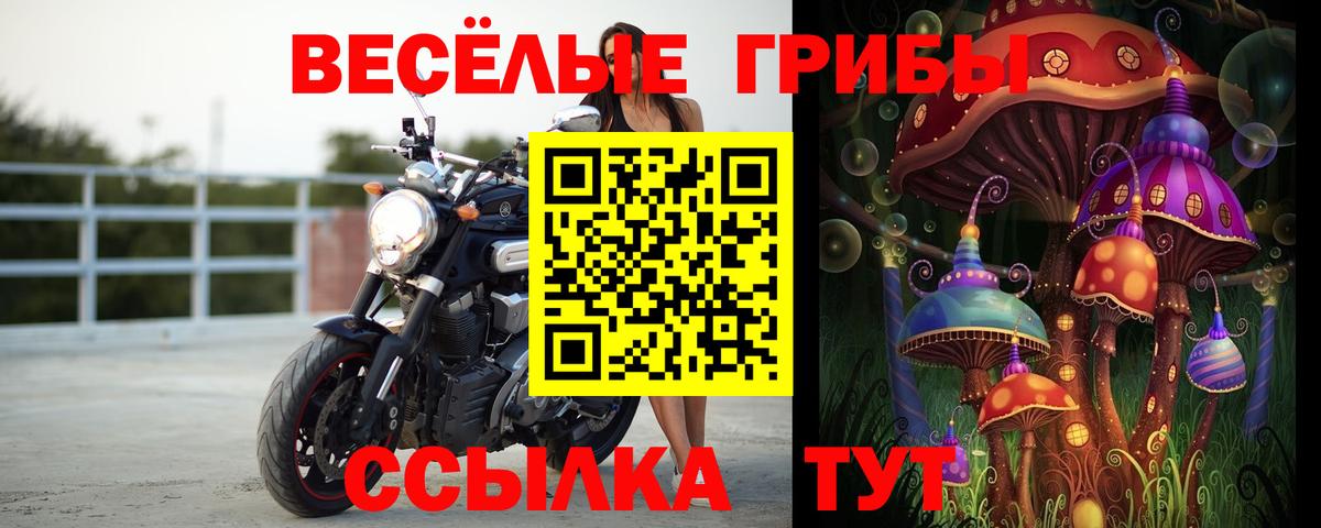 Галлюциногенные грибы мицелий Дербент
