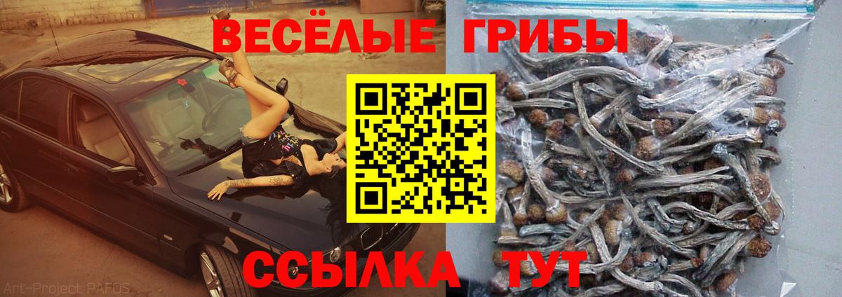Дербент  Галлюциногенные грибы прущие грибы  Вход с VPN 