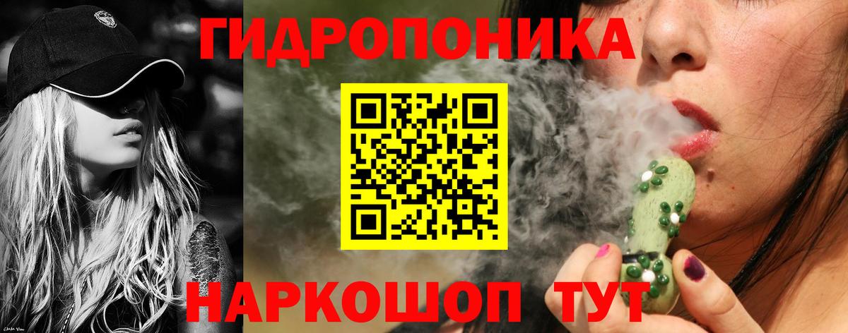Конопля AK-47 Дербент